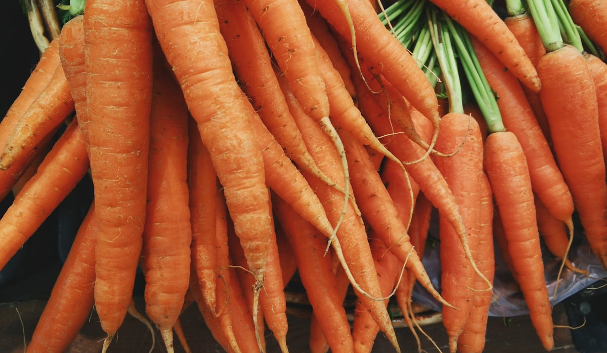 Nutrienti per la salute degli occhi